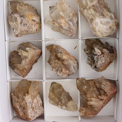 Congo Citrine Set of 12