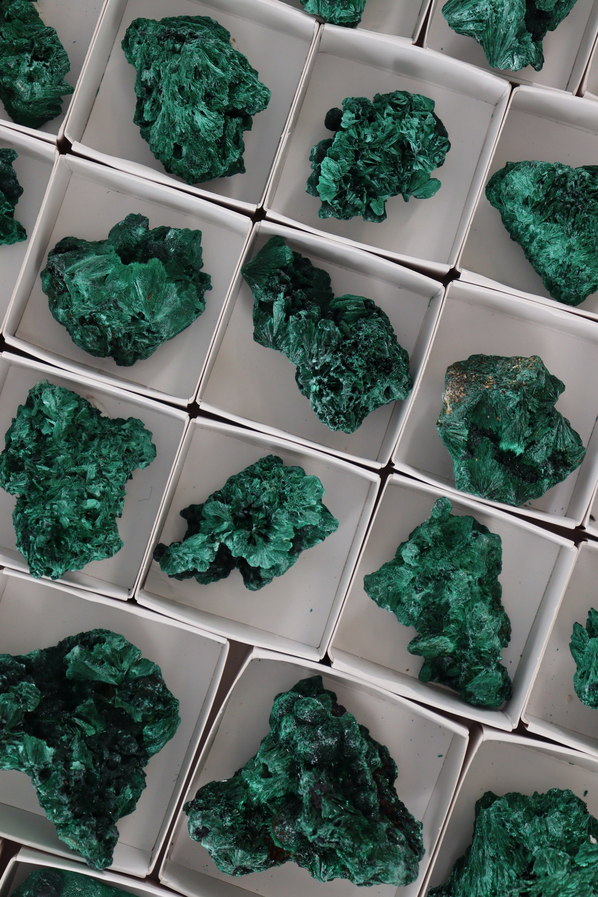 Malachite Flat - Expert Supplier of Wholesale Crystals & Bulk Gemstones