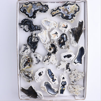 Agatized Coral Flat - Expert Wholesale and Supplier of Wholesale Crystals & Bulk Gemstones, ["Agate","Agatized Coral","Coral","United States"]