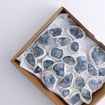 Celestite Clusters Set of 24