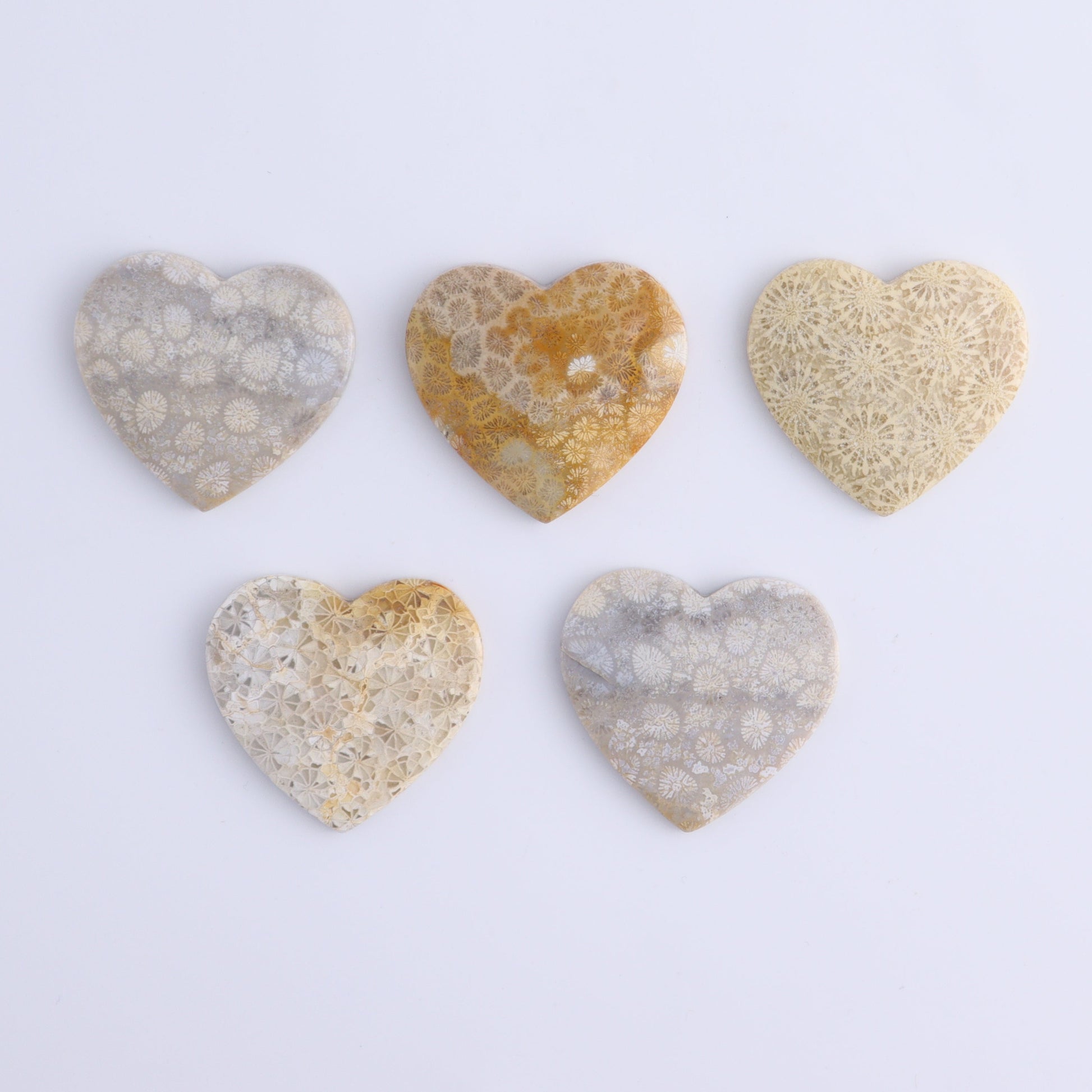 One Fossil Coral Heart Cab - Expert Wholesale and Supplier of Wholesale Crystals & Bulk Gemstones, ["Cabs","fossil coral","heart","Hearts"]