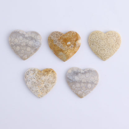 One Fossil Coral Heart Cab - Expert Wholesale and Supplier of Wholesale Crystals & Bulk Gemstones, ["Cabs","fossil coral","heart","Hearts"]