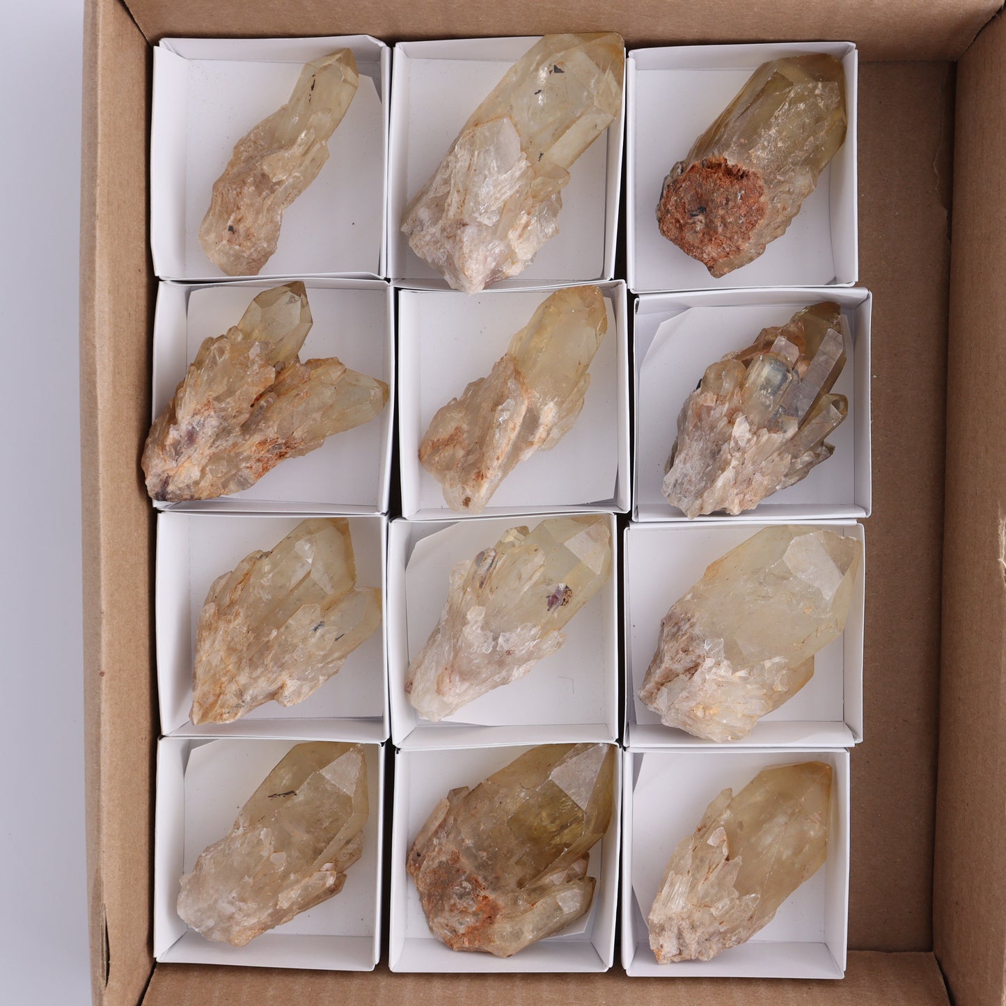 Congo Citrine Set of 12 - Expert Wholesale and Supplier of Wholesale Crystals & Bulk Gemstones, ["Citrine","Congo","Rough","Roughs"]