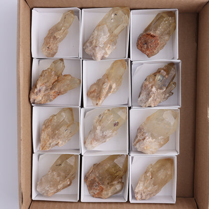 Congo Citrine Set of 12 - Expert Wholesale and Supplier of Wholesale Crystals & Bulk Gemstones, ["Citrine","Congo","Rough","Roughs"]