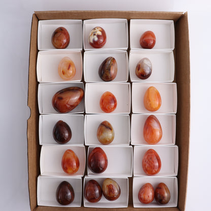 Carnelian Eggs Flat of 20 - Expert Wholesale and Supplier of Wholesale Crystals & Bulk Gemstones, ["carnelian","Eggs","Madagascar"]