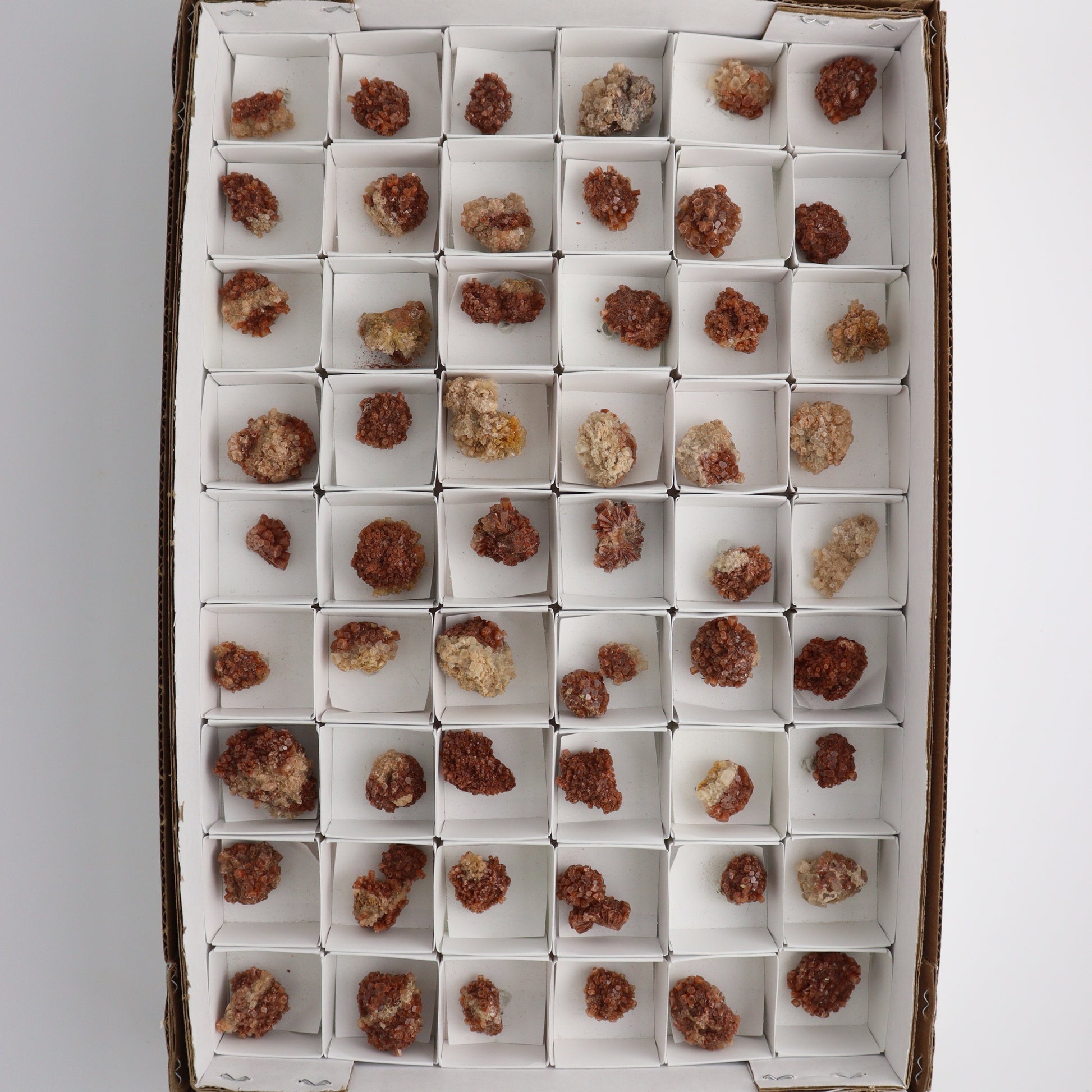 Aragonite Clusters - Expert Wholesale and Supplier of Wholesale Crystals & Bulk Gemstones, ["aragonite","Clusters","Morocco"]