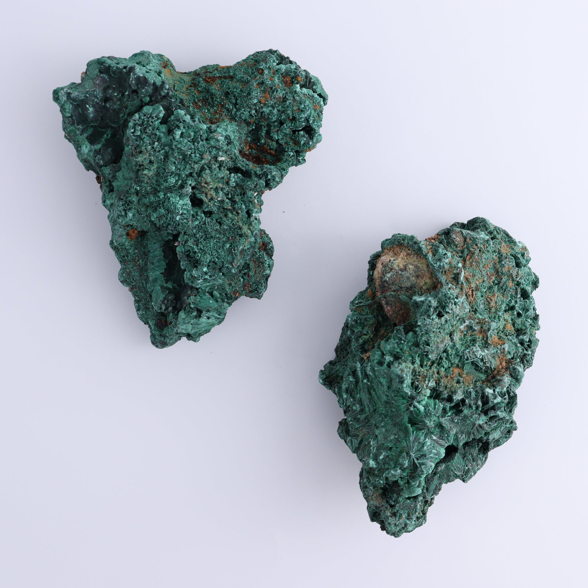 Malachite Freeforms Set of 2 - Expert Wholesale and Supplier of Wholesale Crystals & Bulk Gemstones, ["close_50","Freeform","Malachite","South Africa"]