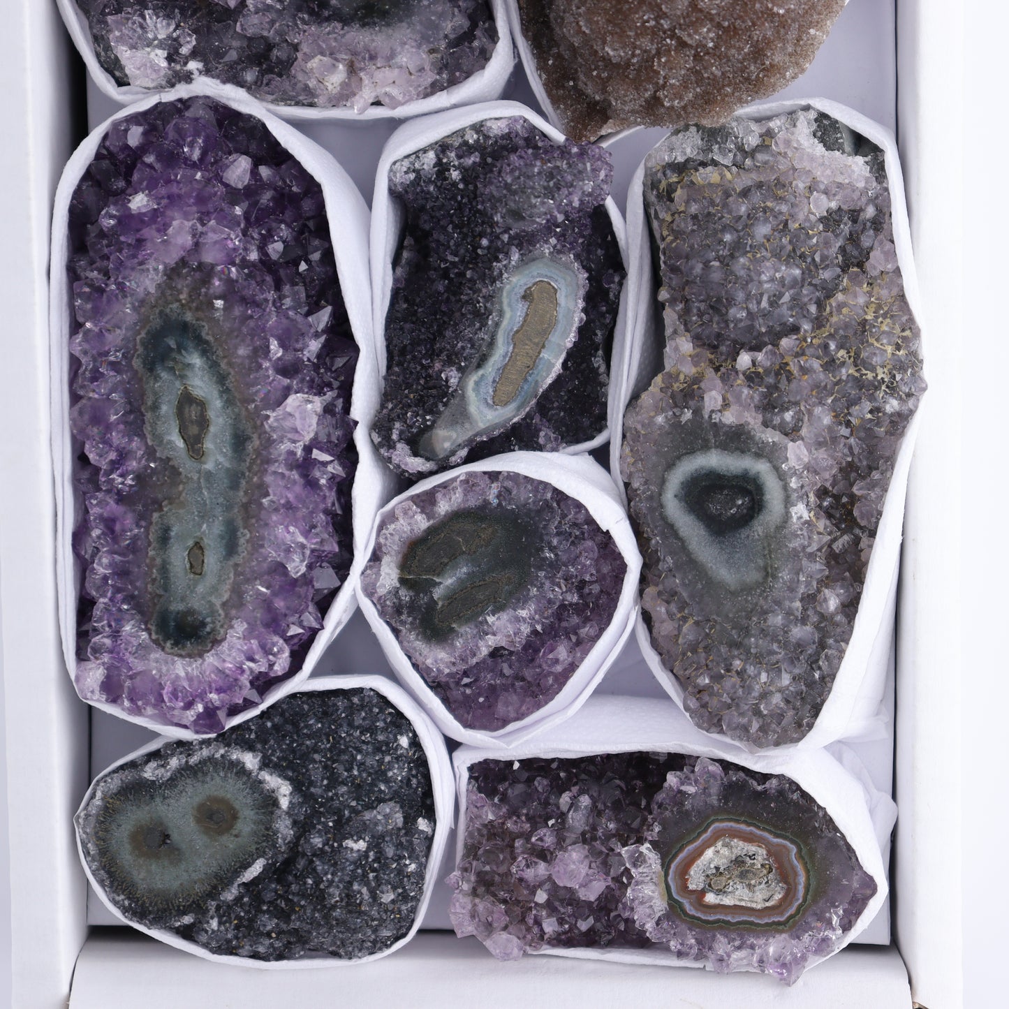 Uruguay Amethyst Clusters with "Eyes" Flat of 8 - Expert Wholesale and Supplier of Wholesale Crystals & Bulk Gemstones, []