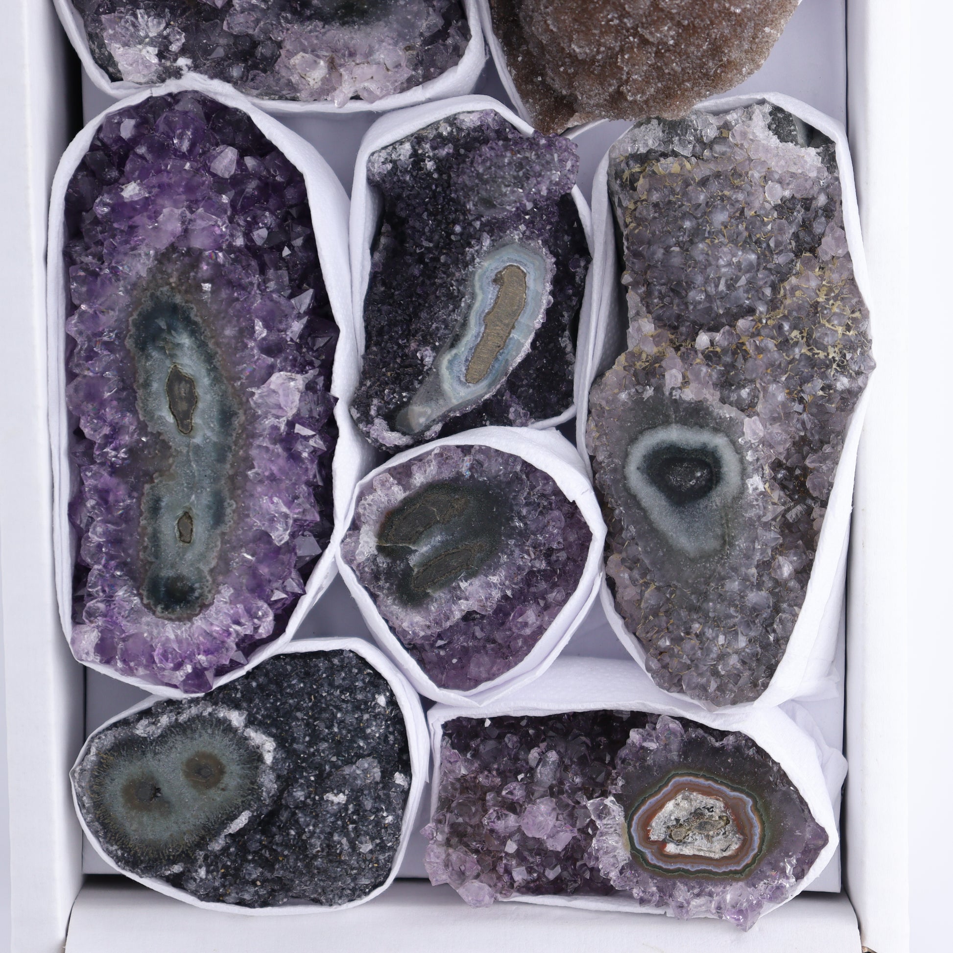 Uruguay Amethyst Clusters with "Eyes" Flat of 8 - Expert Wholesale and Supplier of Wholesale Crystals & Bulk Gemstones, []