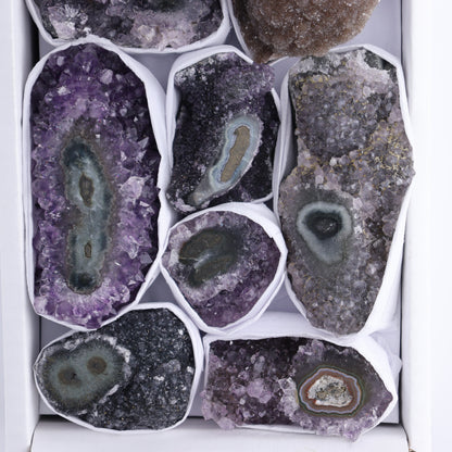 Uruguay Amethyst Clusters with "Eyes" Flat of 8 - Expert Wholesale and Supplier of Wholesale Crystals & Bulk Gemstones, []