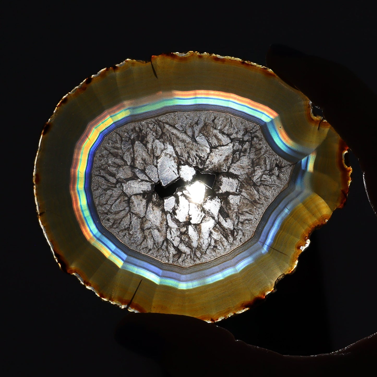 Iris Agate Slices Set of 5 - Expert Wholesale and Supplier of Wholesale Crystals & Bulk Gemstones, ["Agate","Iris Agate","Slices and Slabs"]