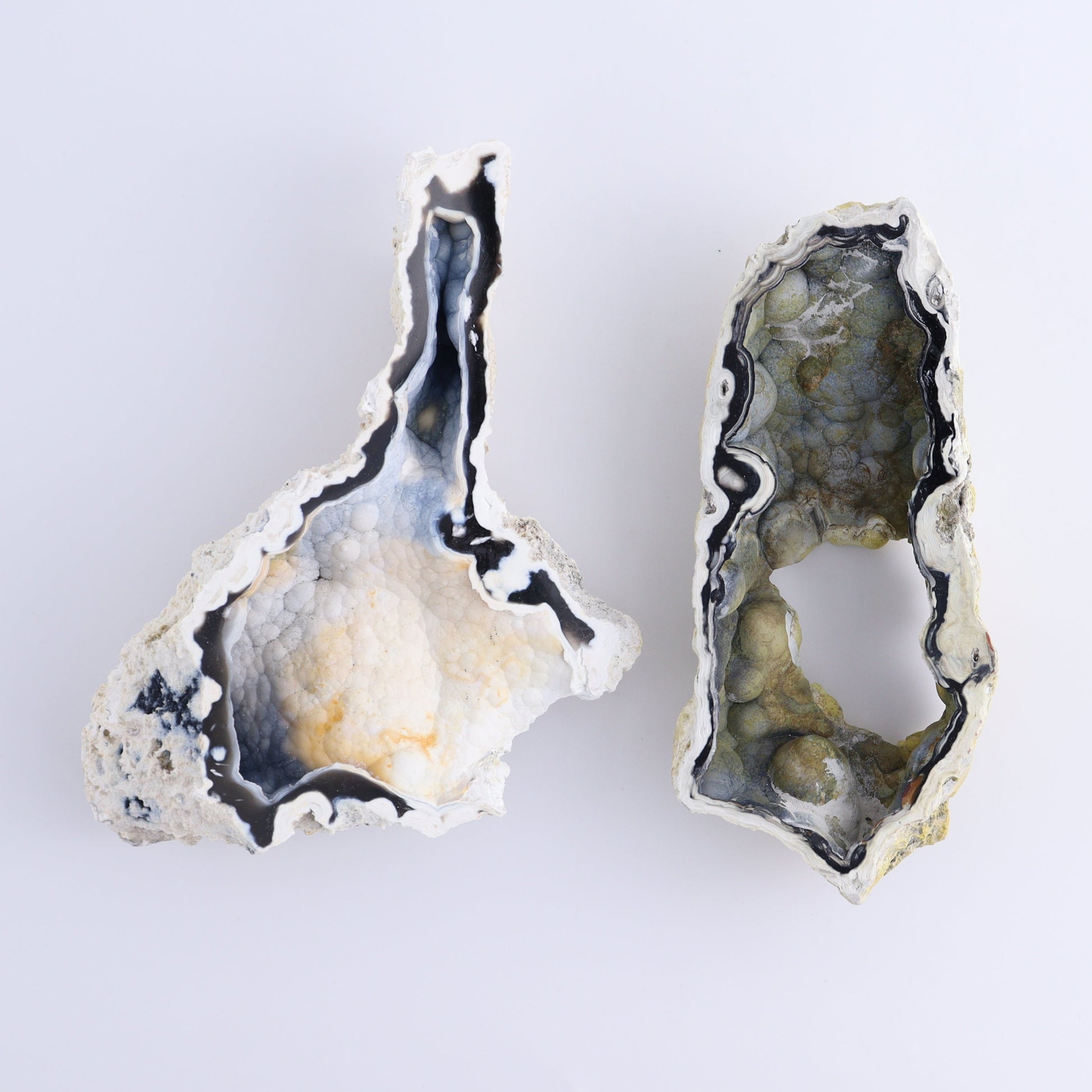 Agatized Coral Flat - Expert Wholesale and Supplier of Wholesale Crystals & Bulk Gemstones, ["Agate","Agatized Coral","Coral","United States"]