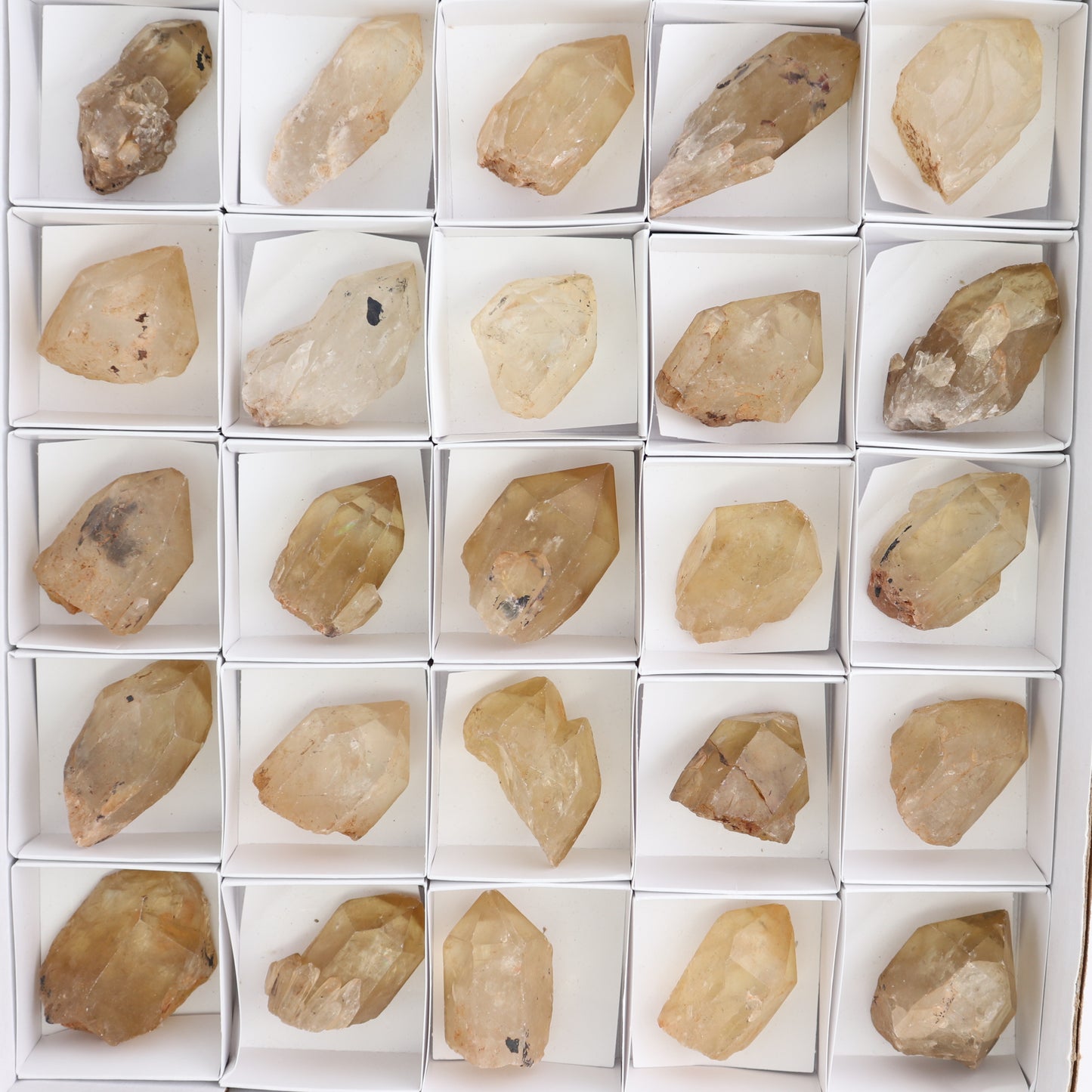 Congo Citrine Set of 35