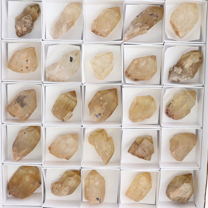 Congo Citrine Set of 35