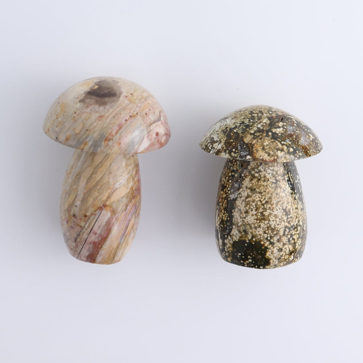 Jasper Mushrooms Set of 8