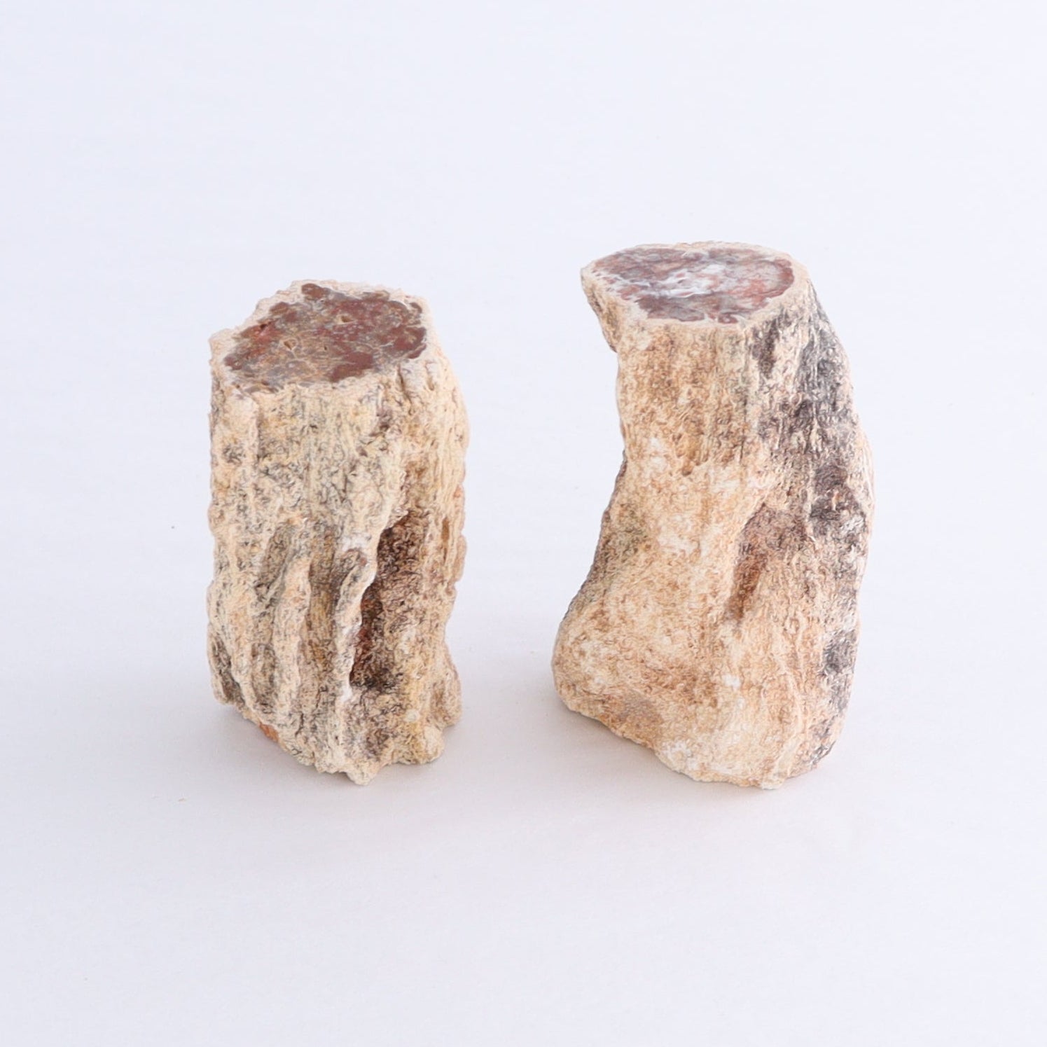 Petrified Wood Cut Bases Set of 10 - Expert Wholesale and Supplier of Wholesale Crystals & Bulk Gemstones, ["Cut Base","Petrified Wood"]