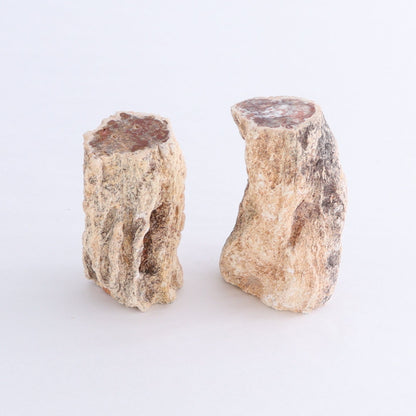 Petrified Wood Cut Bases Set of 10 - Expert Wholesale and Supplier of Wholesale Crystals & Bulk Gemstones, ["Cut Base","Petrified Wood"]