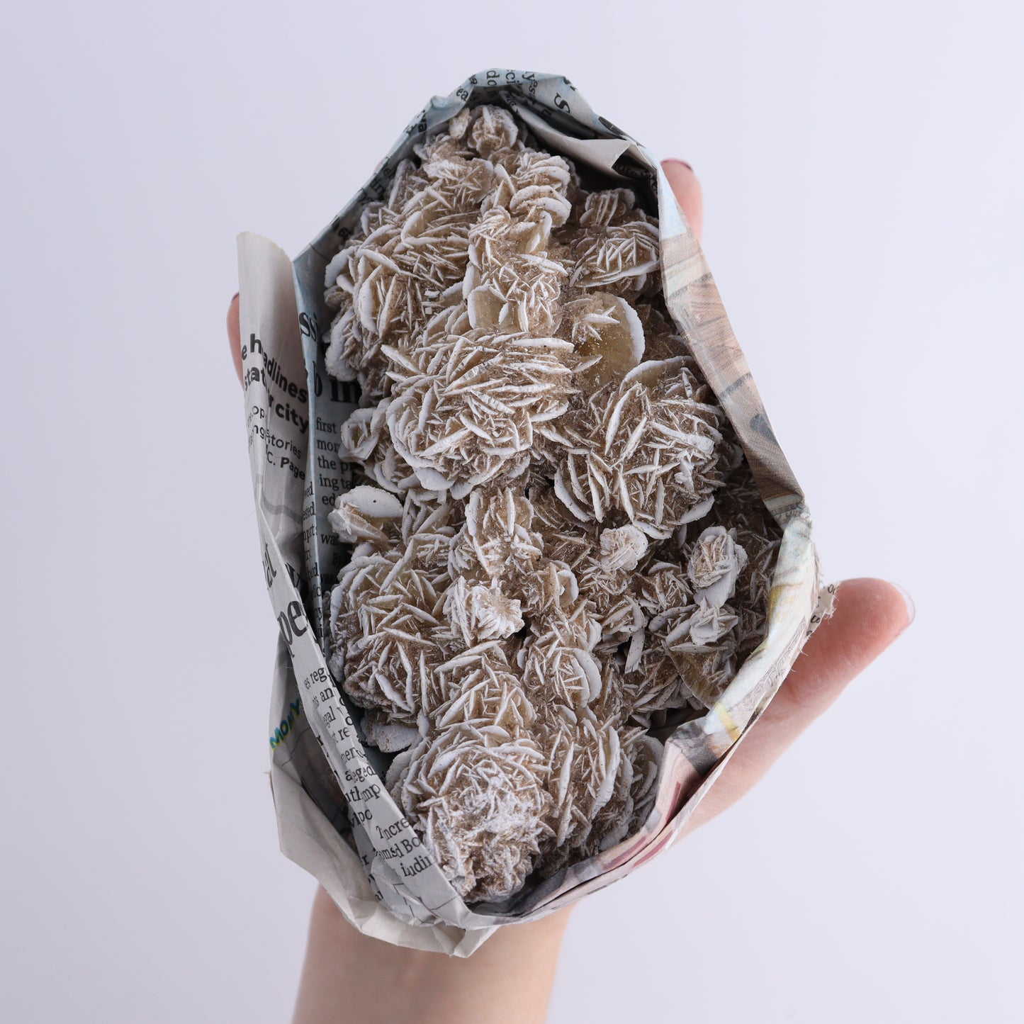 Desert Rose Set of 9 - Expert Wholesale and Supplier of Wholesale Crystals & Bulk Gemstones, ["Desert Rose","Freeforms","Morocco"]