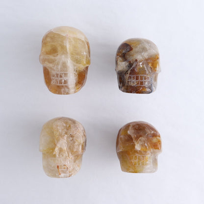 Golden Healer Skulls Set of 4