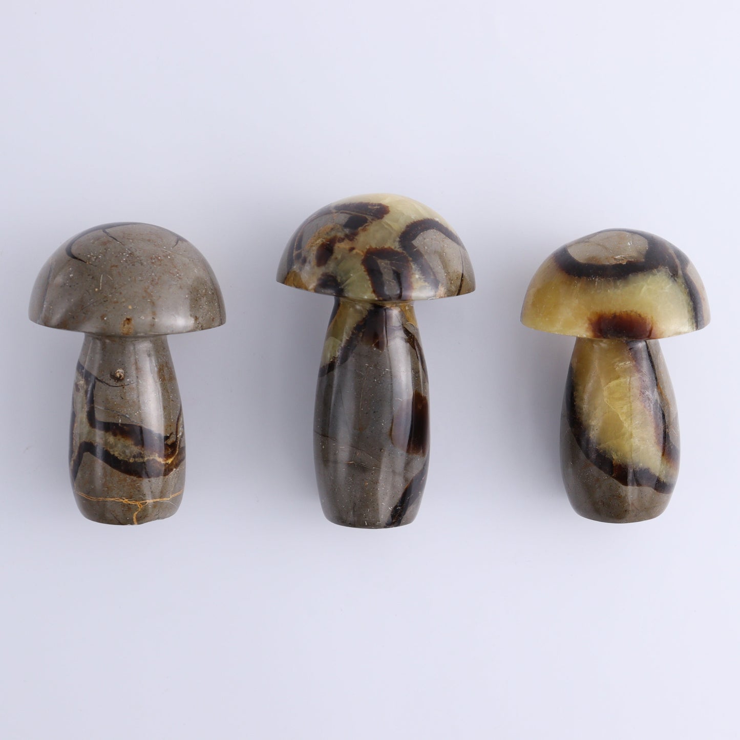 Septarian Mushrooms Set of 6 - Expert Wholesale and Supplier of Wholesale Crystals & Bulk Gemstones, ["Mushrooms","Septarian"]
