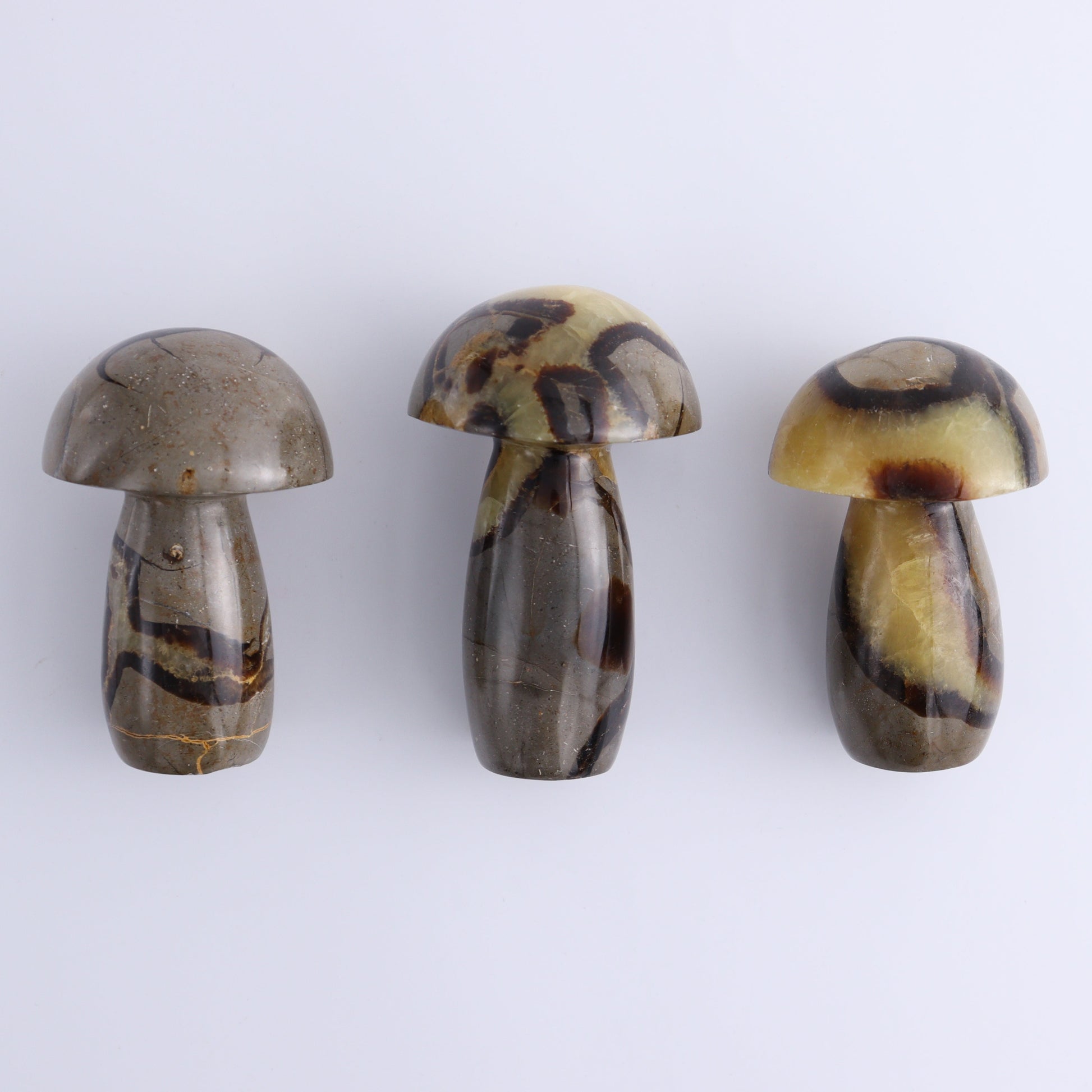 Septarian Mushrooms Set of 6 - Expert Wholesale and Supplier of Wholesale Crystals & Bulk Gemstones, ["Mushrooms","Septarian"]