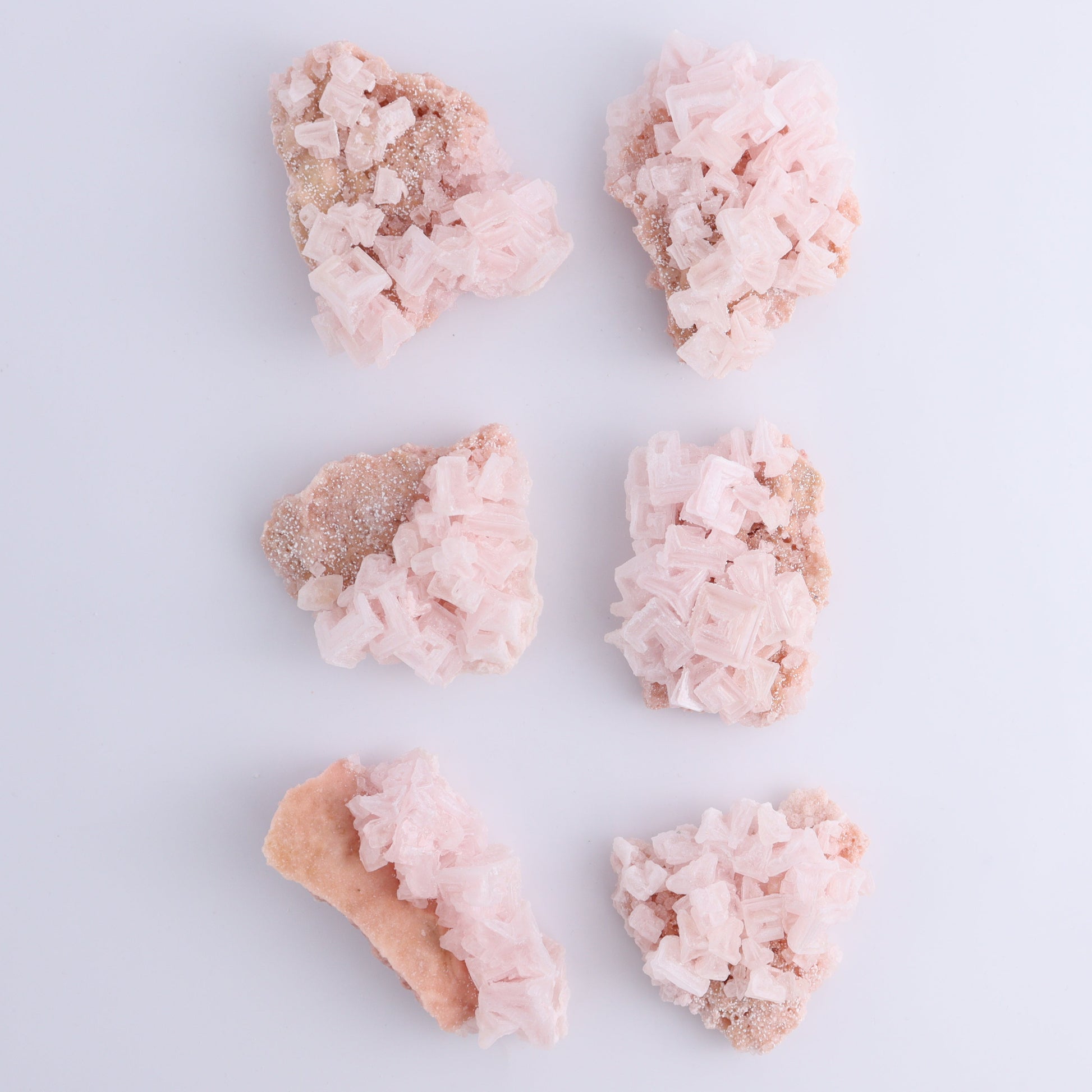Searles Lake Halite Flat of 6 - Expert Wholesale and Supplier of Wholesale Crystals & Bulk Gemstones, ["Flats","Halite","United States"]