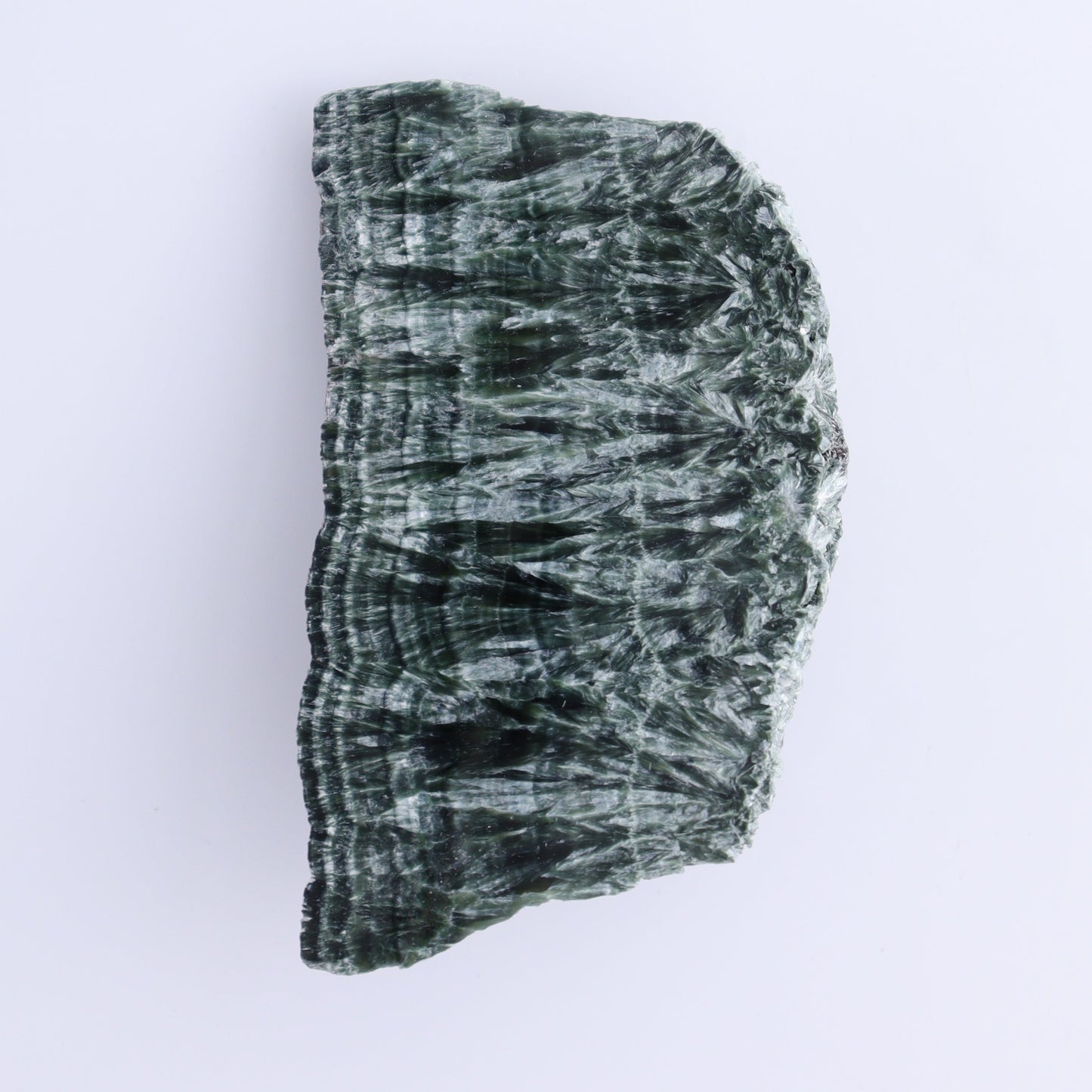 Seraphinite Slices Set of 4 - Expert Wholesale and Supplier of Wholesale Crystals & Bulk Gemstones, ["Russia","Seraphinite","Slices and Slabs"]
