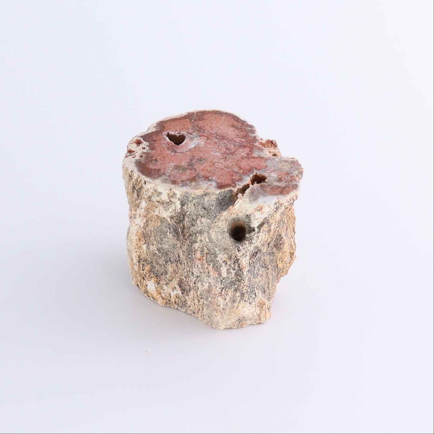 Petrified Wood Cut Bases Set of 4 - Expert Wholesale and Supplier of Wholesale Crystals & Bulk Gemstones, ["Cut Base","Petrified Wood"]