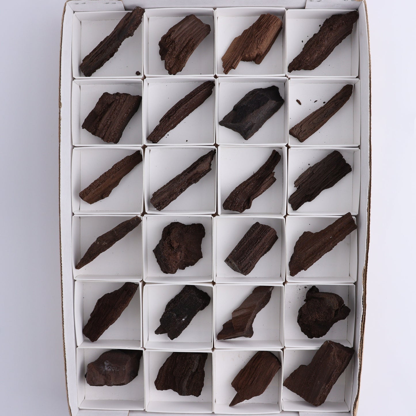 Permineralized Wood Flat of 24 - Expert Wholesale and Supplier of Wholesale Crystals & Bulk Gemstones, ["Flats","Germany","Permineralized Wood"]
