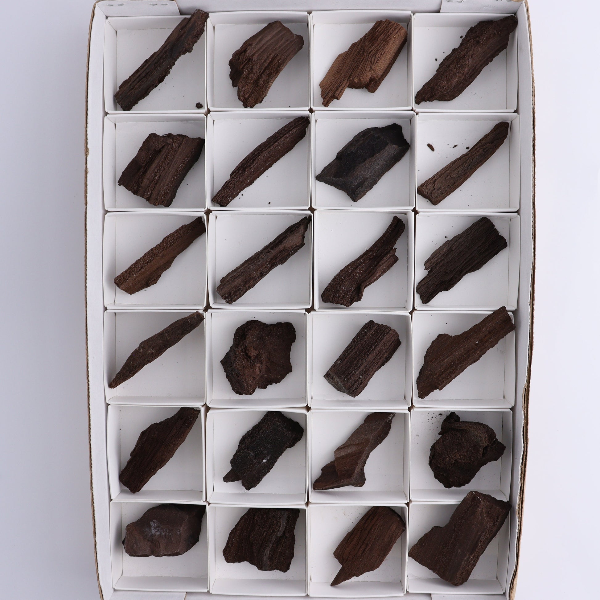 Permineralized Wood Flat of 24 - Expert Wholesale and Supplier of Wholesale Crystals & Bulk Gemstones, ["Flats","Germany","Permineralized Wood"]