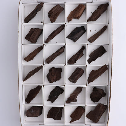 Permineralized Wood Flat of 24 - Expert Wholesale and Supplier of Wholesale Crystals & Bulk Gemstones, ["Flats","Germany","Permineralized Wood"]