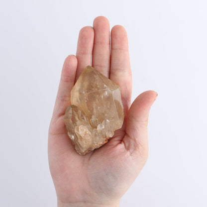 Congo Citrine Set of 12