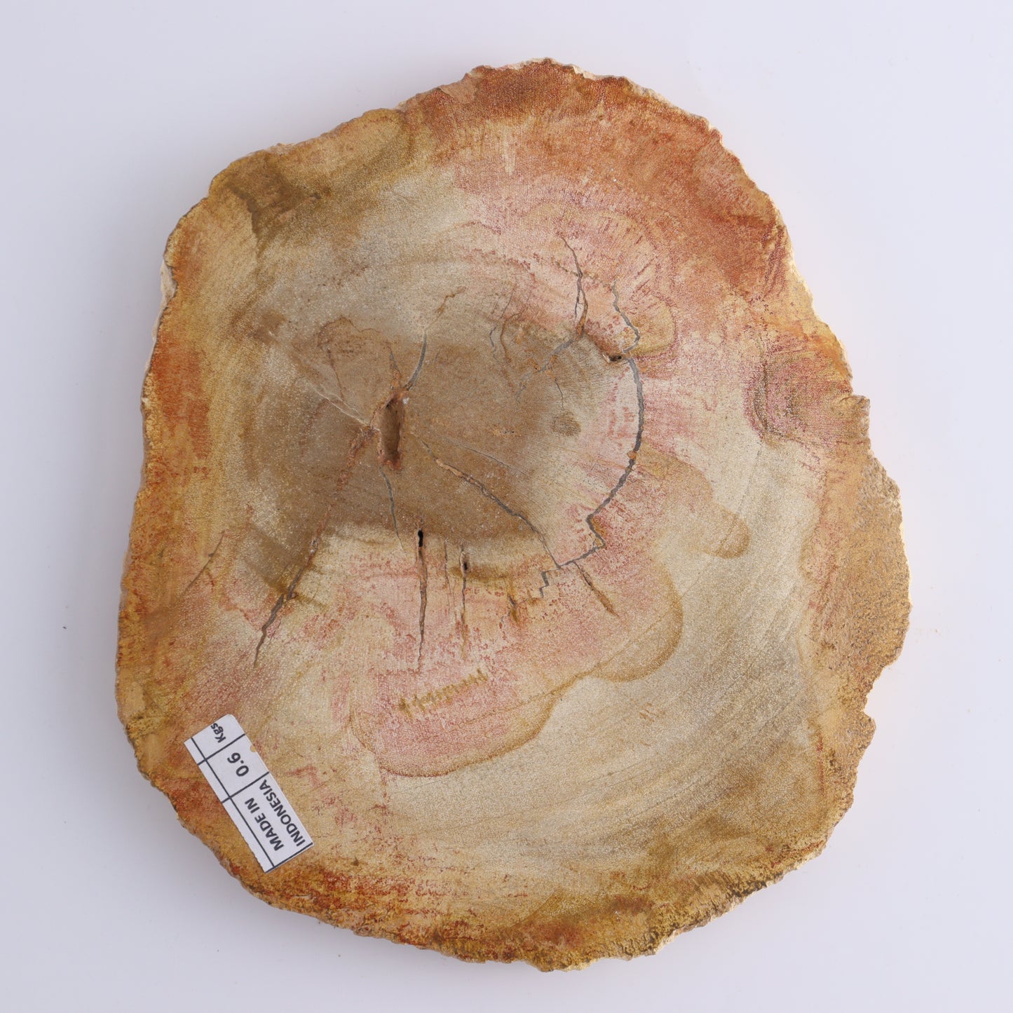 Petrified Wood Slices & Slabs Set of 3 - Expert Wholesale and Supplier of Wholesale Crystals & Bulk Gemstones, ["Freeforms","Indonesia","Petrified Wood","Slices and Slabs"]