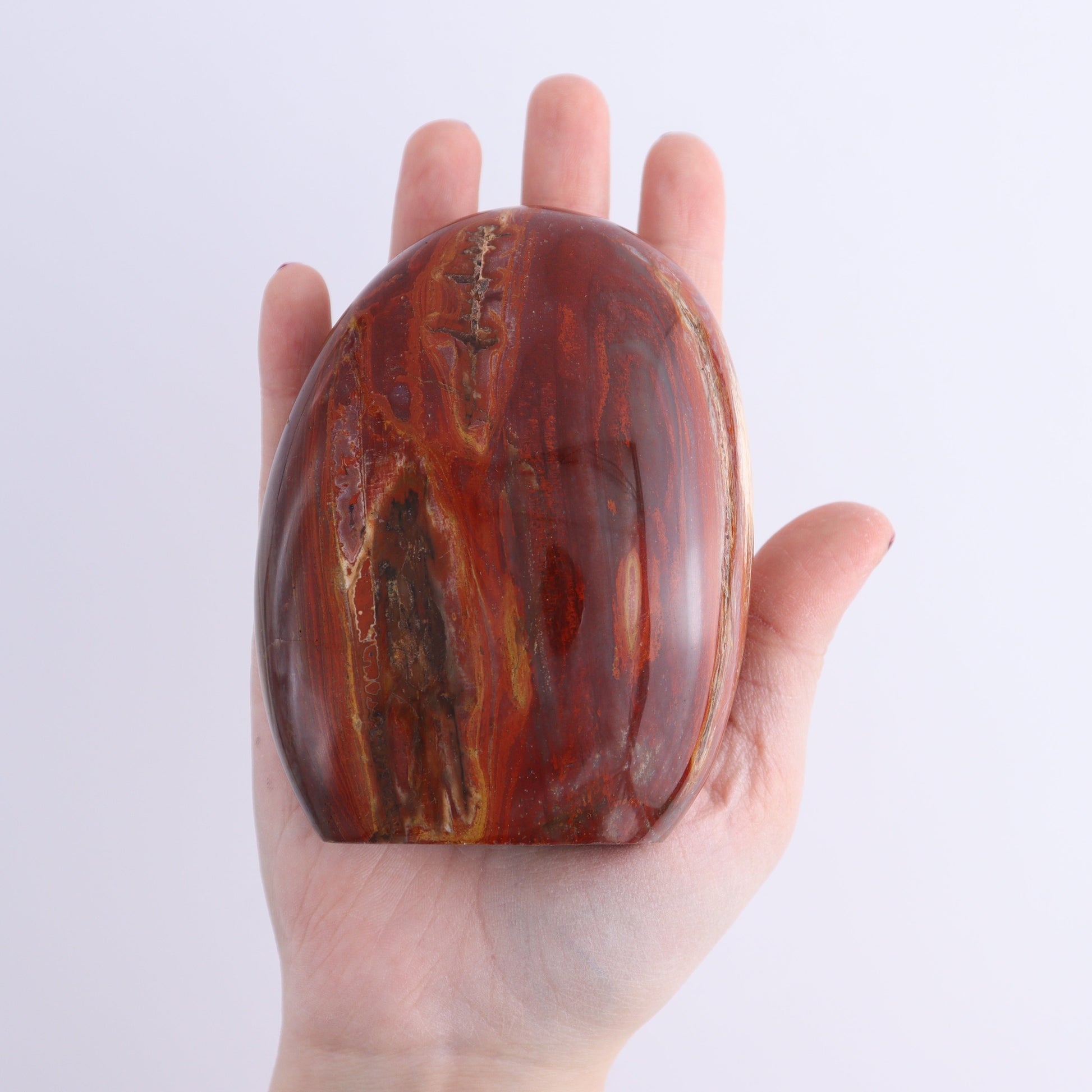 Petrified Wood Freeforms Set of 3 - Expert Wholesale and Supplier of Wholesale Crystals & Bulk Gemstones, ["Freeform","Freeforms","Madagascar","Petrified Wood"]