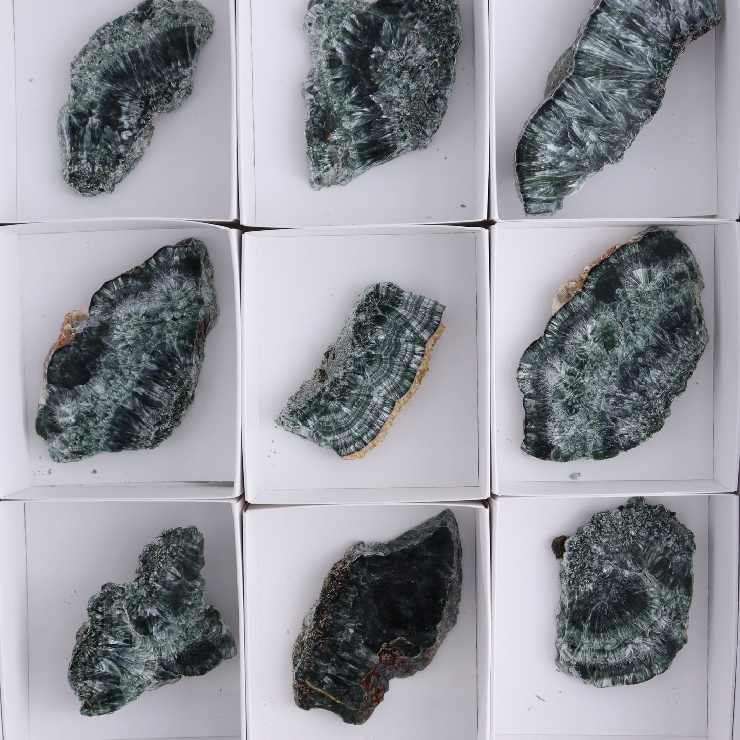 Seraphinite Slices Set of 12 - Expert Wholesale and Supplier of Wholesale Crystals & Bulk Gemstones, ["Seraphinite","Slices and Slabs"]