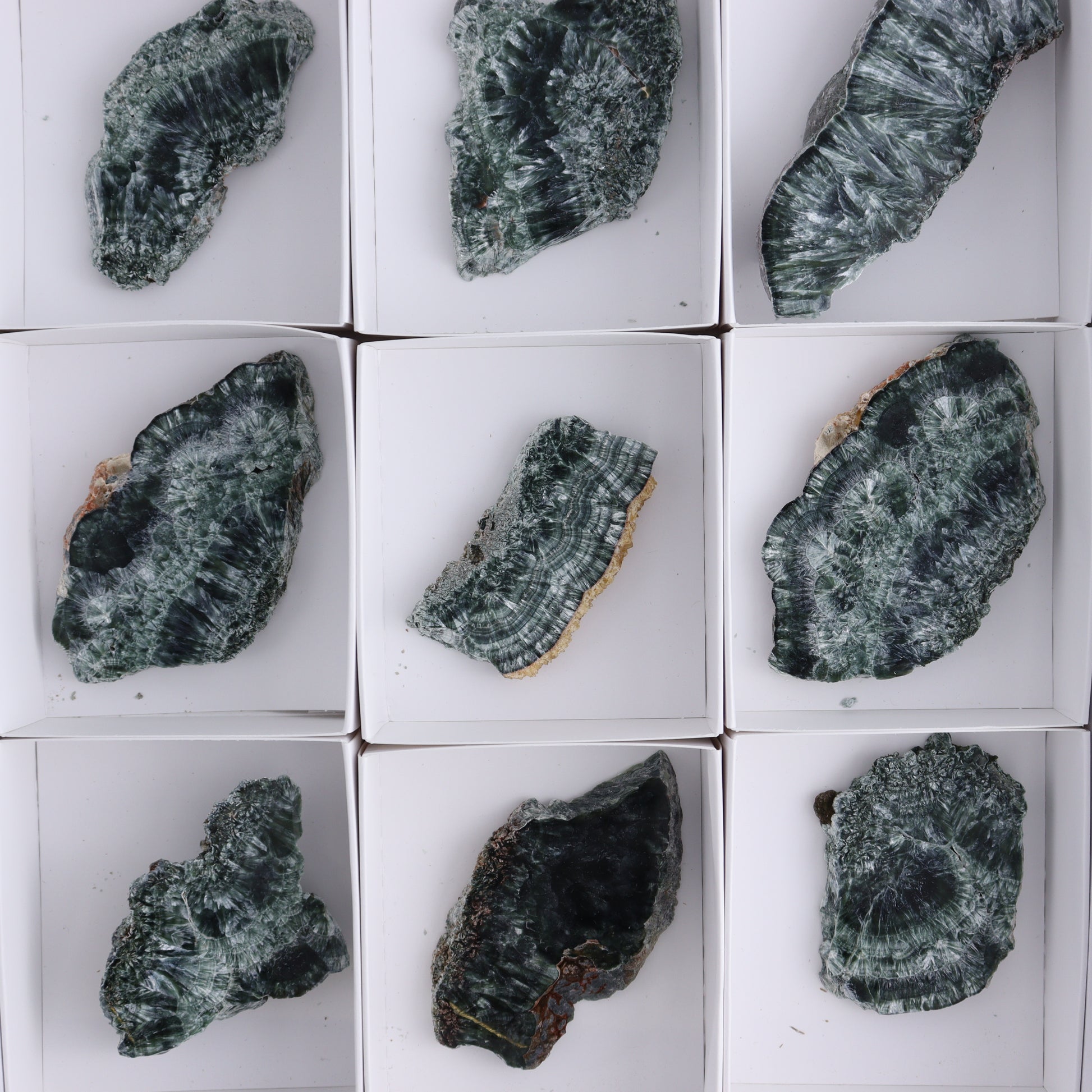 Seraphinite Slices Set of 12 - Expert Wholesale and Supplier of Wholesale Crystals & Bulk Gemstones, ["Seraphinite","Slices and Slabs"]