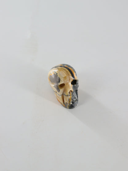 Bumblebee Jasper Skulls Set of 5 - Expert Wholesale and Supplier of Wholesale Crystals & Bulk Gemstones, []