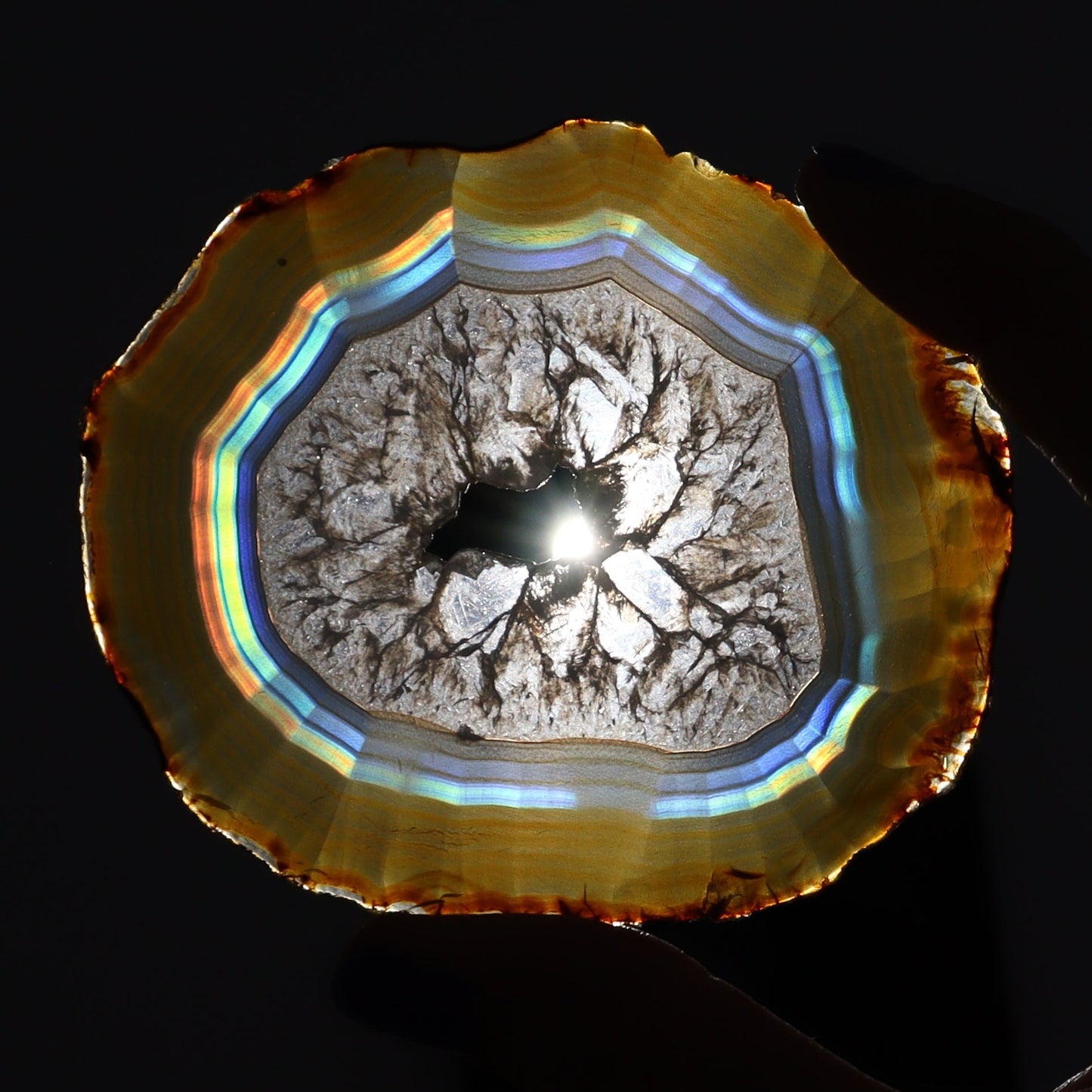 Iris Agate Slices Set of 5 - Expert Wholesale and Supplier of Wholesale Crystals & Bulk Gemstones, ["Agate","Iris Agate","Slices and Slabs"]