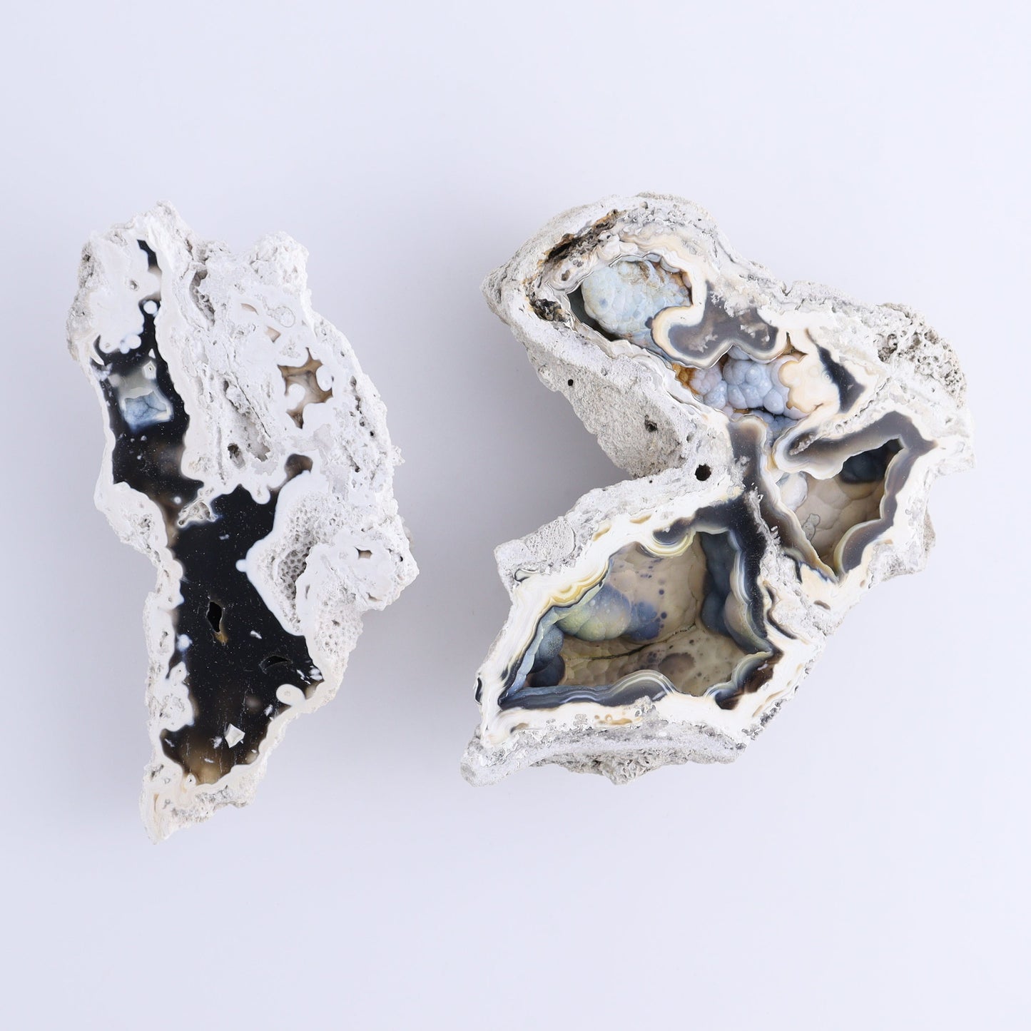 Agatized Coral Flat - Expert Wholesale and Supplier of Wholesale Crystals & Bulk Gemstones, ["Agate","Agatized Coral","Coral","United States"]