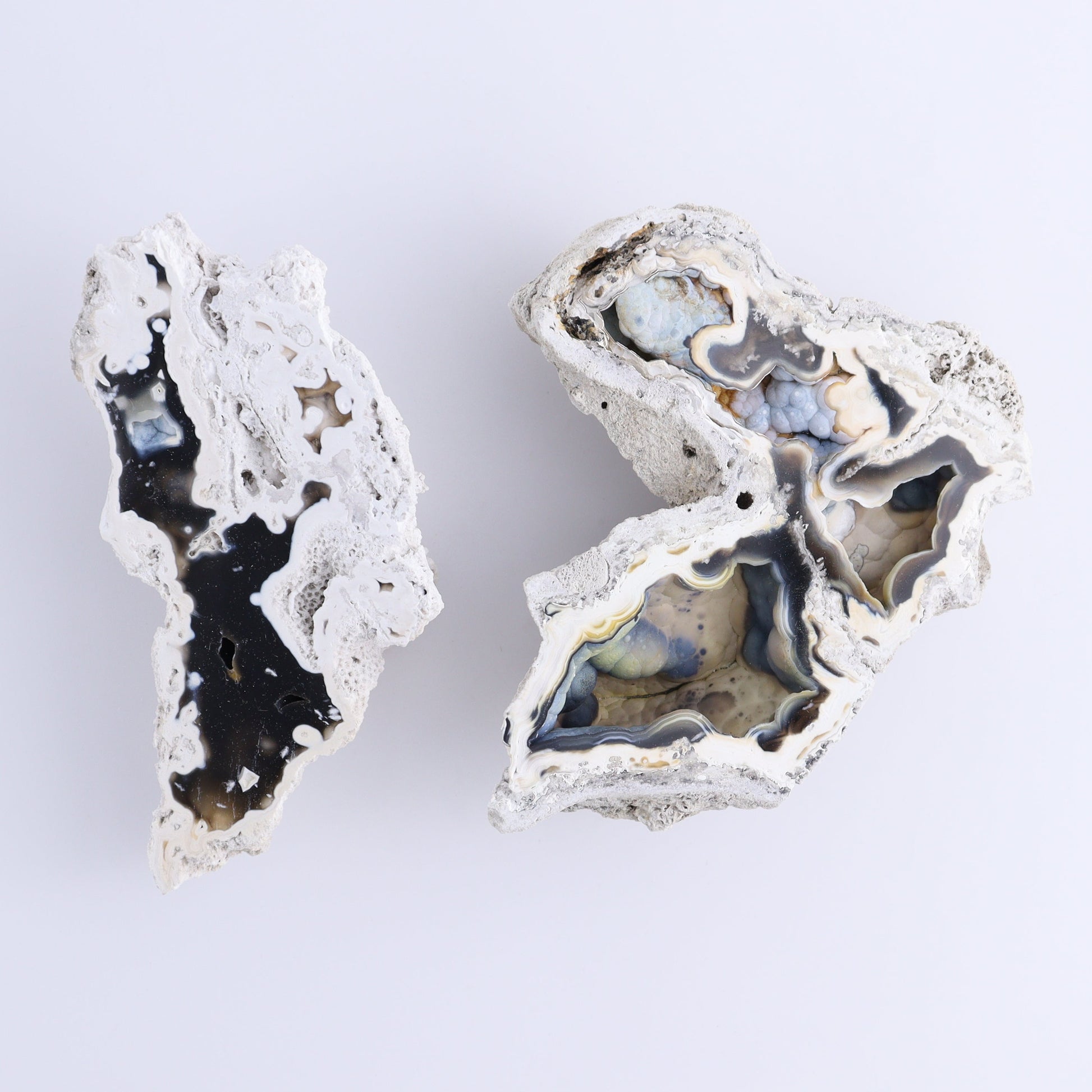 Agatized Coral Flat - Expert Wholesale and Supplier of Wholesale Crystals & Bulk Gemstones, ["Agate","Agatized Coral","Coral","United States"]