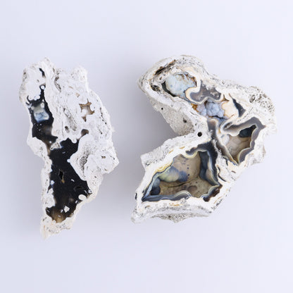 Agatized Coral Flat - Expert Wholesale and Supplier of Wholesale Crystals & Bulk Gemstones, ["Agate","Agatized Coral","Coral","United States"]