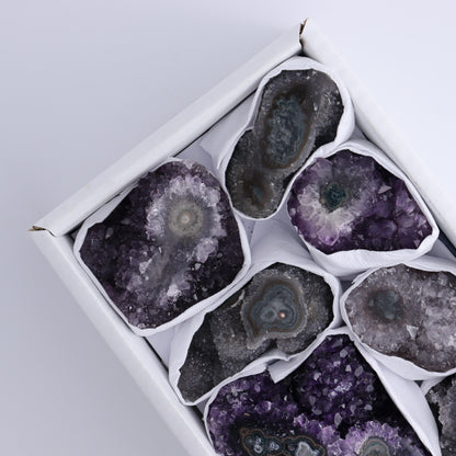 Uruguay Amethyst Clusters with "Eyes" Flat of 8 - Expert Wholesale and Supplier of Wholesale Crystals & Bulk Gemstones, ["Amethyst","Clusters","Eyes Amethyst","Uruguay"]