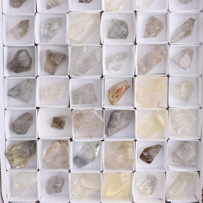 Quartz with Inclusions Feeforms Set of 54