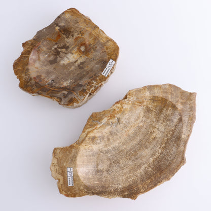 Petrified Wood Bowls Set of 2 - Expert Wholesale and Supplier of Wholesale Crystals & Bulk Gemstones, ["Bowls","Indonesia","Petrified Wood"]