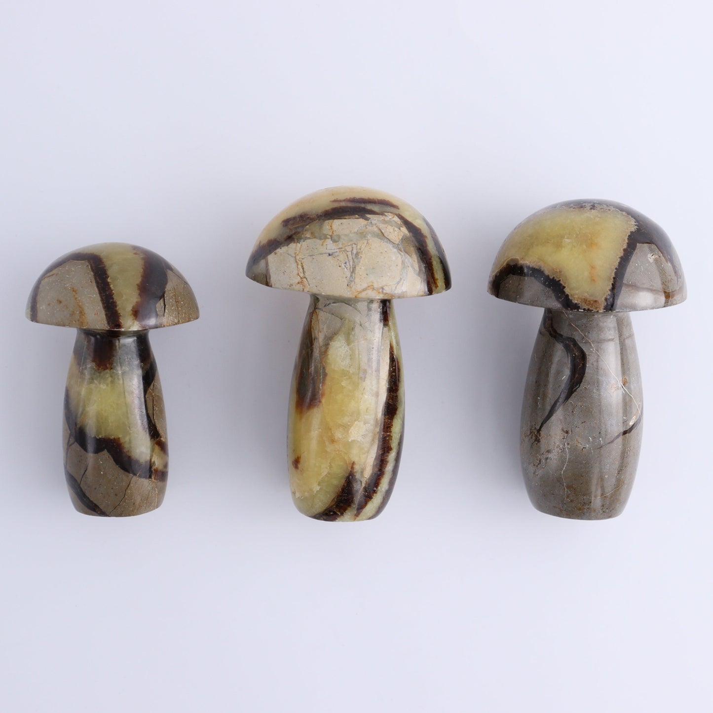 Septarian Mushrooms Set of 6 - Expert Wholesale and Supplier of Wholesale Crystals & Bulk Gemstones, ["Mushrooms","Septarian"]
