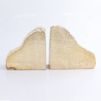 One Pair of Petrified Wood Rough Bookend