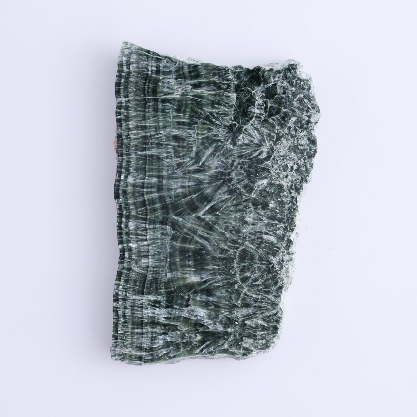 Seraphinite Slices Set of 4 - Expert Wholesale and Supplier of Wholesale Crystals & Bulk Gemstones, ["Russia","Seraphinite","Slices and Slabs"]