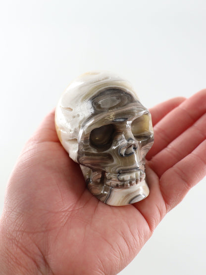 Small Onyx Skulls Set of 4 - Expert Wholesale and Supplier of Wholesale Crystals & Bulk Gemstones, []