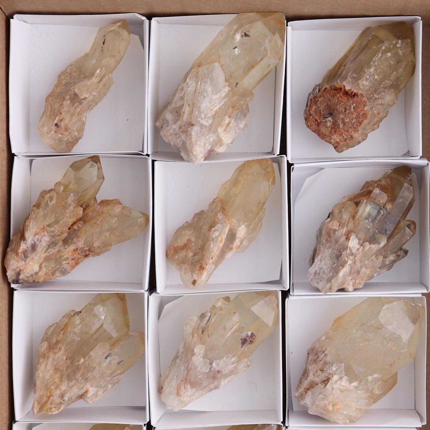 Congo Citrine Set of 12 - Expert Wholesale and Supplier of Wholesale Crystals & Bulk Gemstones, ["Citrine","Congo","Rough","Roughs"]