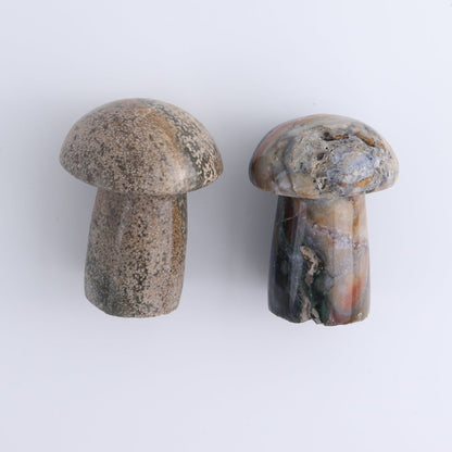 Jasper Mushrooms Set of 8